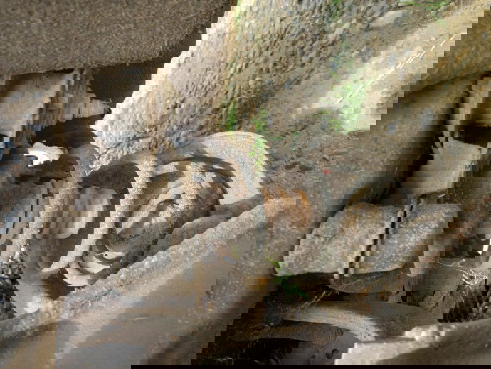 Arc stanga spate Mazda 6 2.0 D OEM 2002-2008