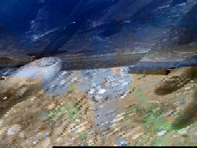 Cui tractare Mazda 6 2.0 D OEM 2002-2008