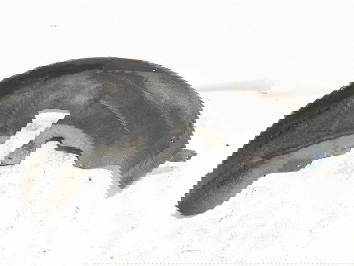 Carenaj roata dreapta spate Nissan Qashqai [Fabr 2007-2014] OEM