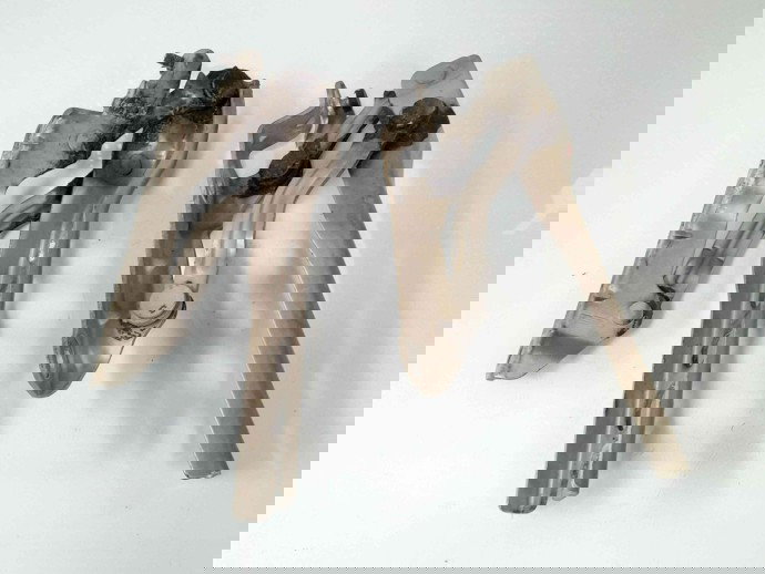 Set balamale capota Skoda Octavia 2 (1Z3) [Fabr 2004-2013] 1Z0823301C / 1Z0823302C