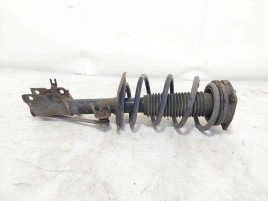 Amortizor stanga fata Nissan Qashqai [Fabr 2007-2014] 824903002934