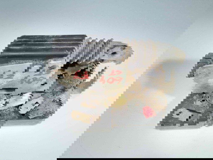 Broasca usa stanga fata Dacia Logan (LS) [Fabr 2004-2012] OEM