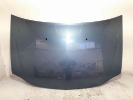 Capota Dacia Logan (LS) [Fabr 2004-2012] TERNF