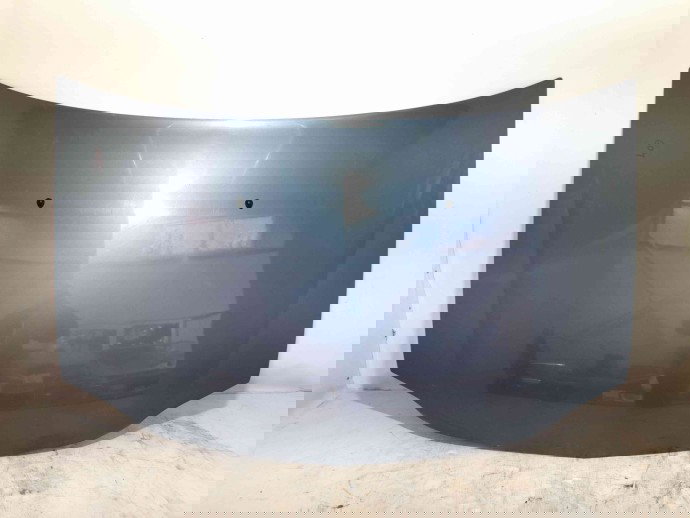 Capota Dacia Logan (LS) [Fabr 2004-2012] TERNF