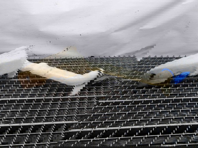  Vas lichid parbriz Seat Ibiza 5 Sportcoupe (6J1) [Fabr 2008-2017] 6Q0955453N