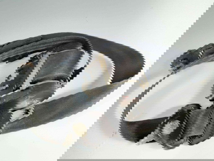 Centura stanga fata Dacia Logan (LS) [Fabr 2004-2012] 934797