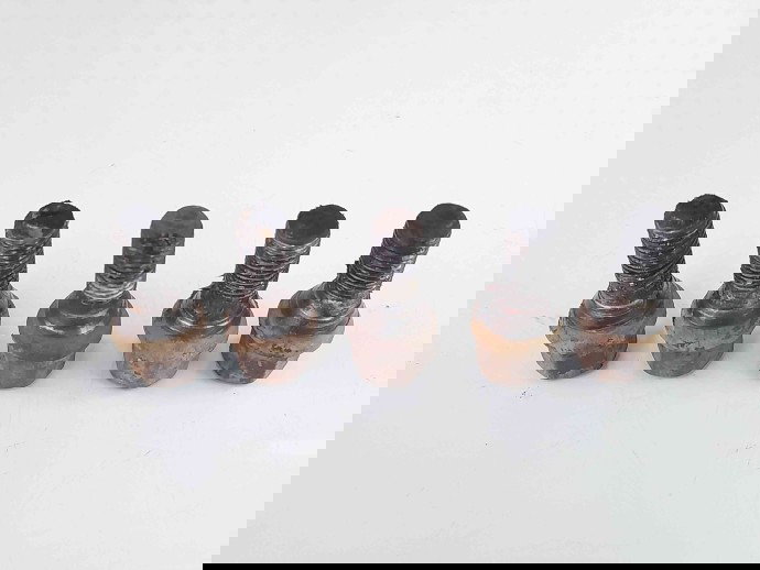 Set prezoane Dacia Logan (LS) [Fabr 2004-2012] OEM