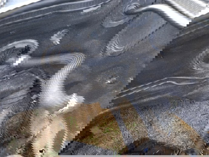 Furtun apa Mercedes W211 E-Class 2.2 CDI OEM 2002-2009