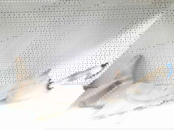 Vas lichid parbriz Ford C-Max 1 [Fabr 2007-2010] 3M51-13K163-AE