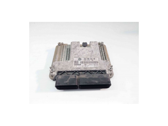 Calculator motor, 03G906021HB, 0281013606, Skoda Octavia 2 (1Z3), 1.9 TDI, BLS