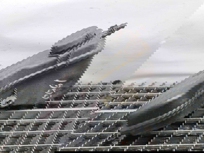 Vas expansiune Bmw 5 (E60) [Fabr 2004-2010] 7800293