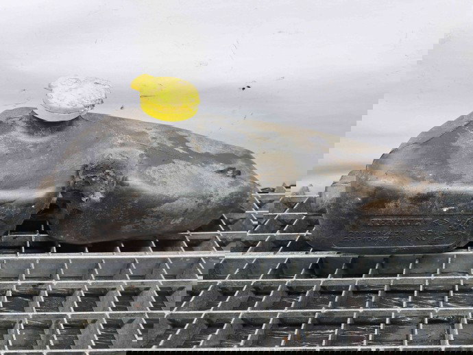  Vas lichid parbriz Dacia Logan MCV 2 [Fabr 2013-prezent] 289101840R