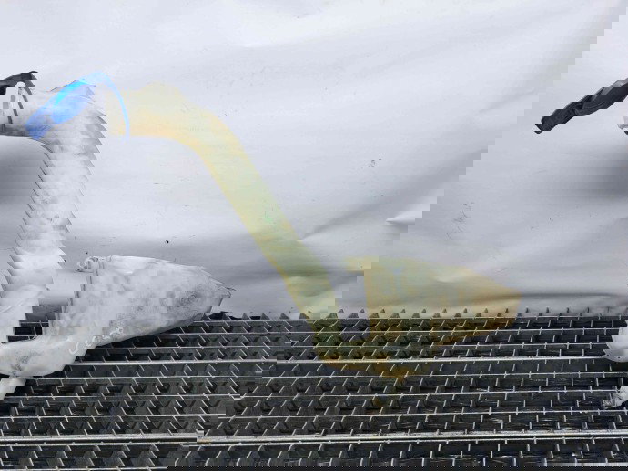  Vas lichid parbriz Skoda Roomster (5) [Fabr 2006-2015] 6Q0955453N