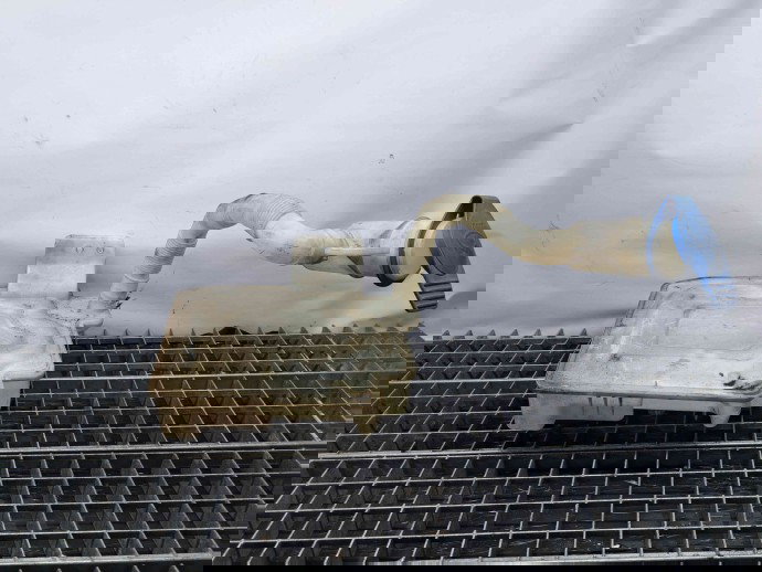  Vas lichid parbriz Seat Leon (1P1) [Fabr 2005-2011] 1K0955453Q