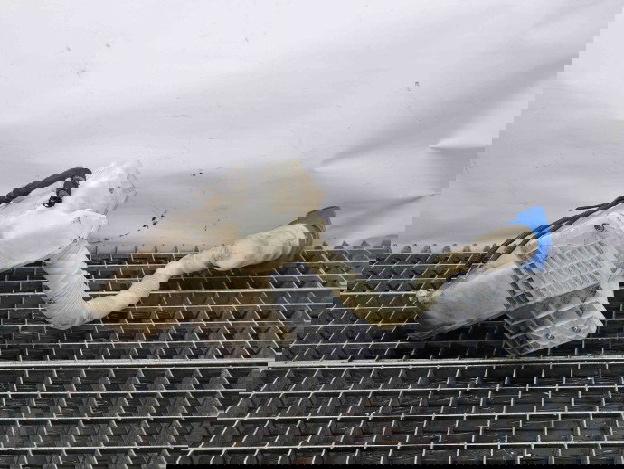  Vas lichid parbriz Seat Leon (1P1) [Fabr 2005-2011] 1K0955453Q