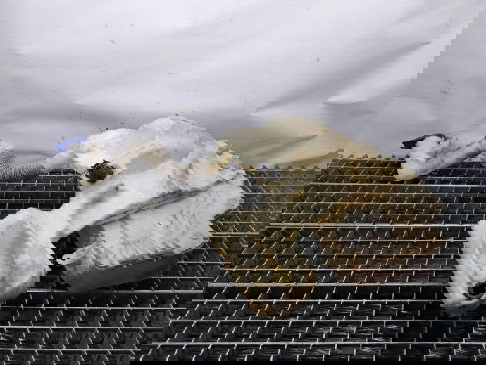  Vas lichid parbriz Ford Mondeo 4 [Fabr 2007-2015] 6M21-17B613-AJ