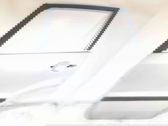 Usa stanga spate Ford Fusion (JU) [Fabr 2002-2012]