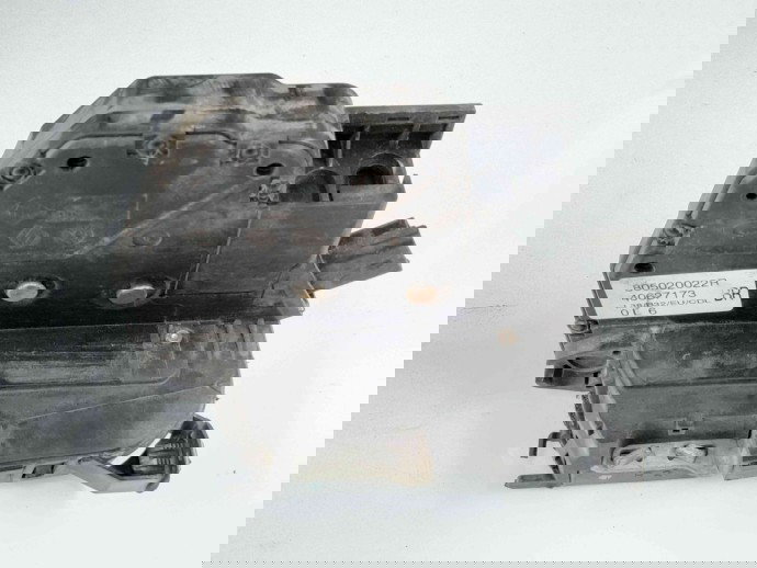 Broasca usa dreapta fata Renault Fluence [Fabr 2010-prezent] 805020022R