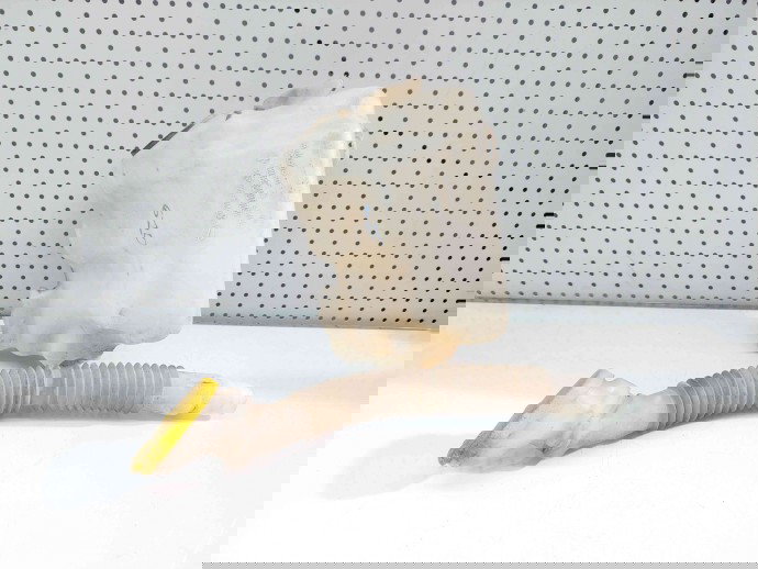 Vas lichid parbriz Renault Megane 2 Coupe facelift [Fabr 2002-2008] 8200104705