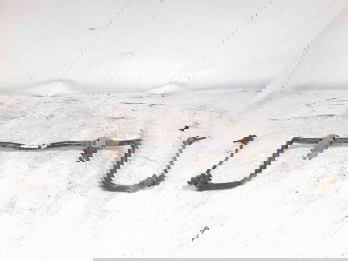 Bara stabilizatoare Renault Fluence [Fabr 2010-prezent] 546110020R