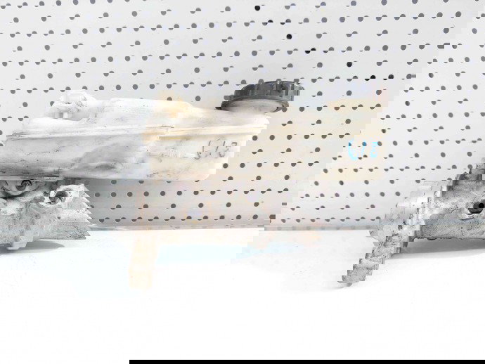 Pompa servofrana Renault Fluence [Fabr 2010-prezent] 0204258391 1.5 DCI K9K