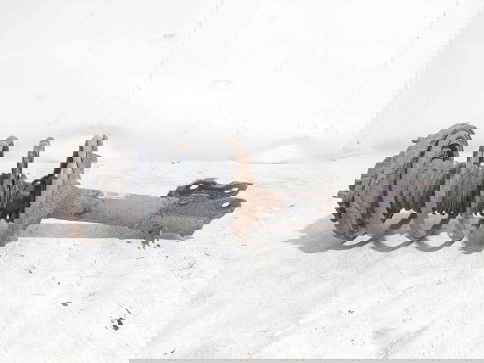 Amortizor dreapta fata Nissan X-Trail (T30) [Fabr 2001-2007] 54302-EQ000