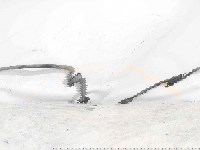 Bara stabilizatoare fata Nissan X-Trail (T30) [Fabr 2001-2007] OEM