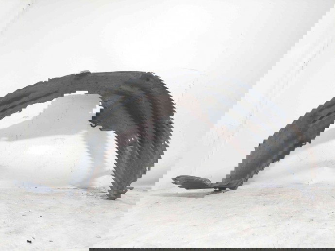 Carenaj roata stanga fata Nissan X-Trail (T30) [Fabr 2001-2007] 6381EQ000