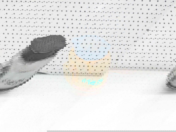 Vas ulei servodirectie Nissan X-Trail (T30) [Fabr 2001-2007] OEM