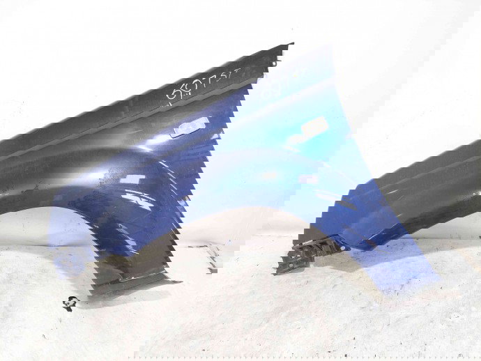 Aripa stanga fata Nissan X-Trail (T30) [Fabr 2001-2007] BW6