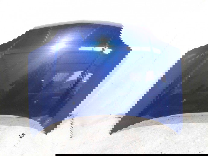 Capota Nissan X-Trail (T30) [Fabr 2001-2007] BW6