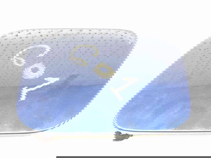 Capac rezervor Nissan X-Trail (T30) [Fabr 2001-2007] BW6