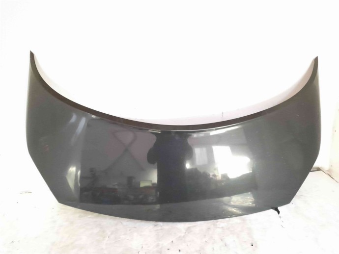 Capota Renault Scenic 2 [Fabr 2003-2008] NV676