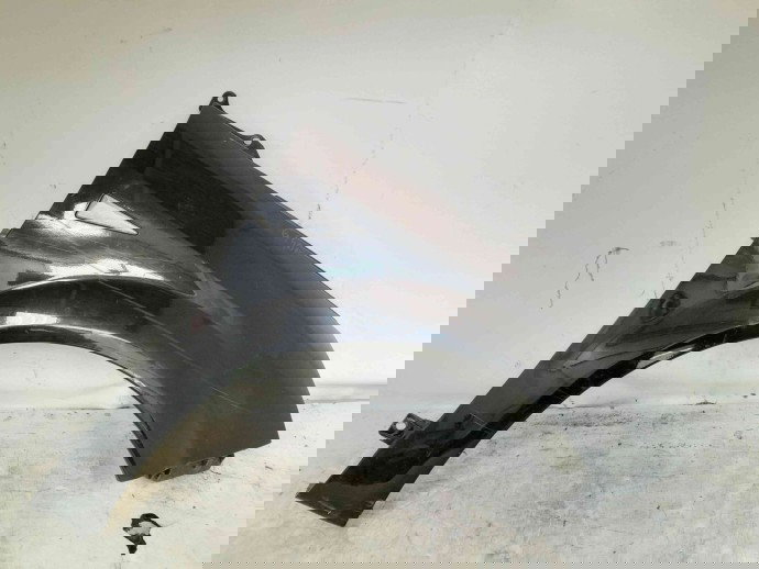 Aripa dreapta fata Renault Scenic 2 [Fabr 2003-2008] NV676