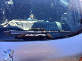 Stergator haion Peugeot 206 1.2 Benz OEM 1998-2009