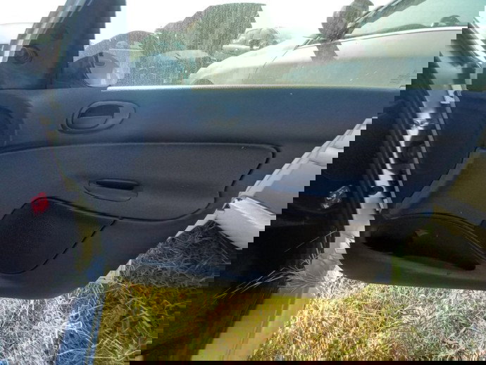 Tapiterie usa dreapta fata Peugeot 206 1.2 Benz OEM 1998-2009