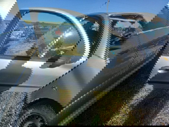 Usa dreapta fata Peugeot 206 1.2 Benz OEM 1998-2009