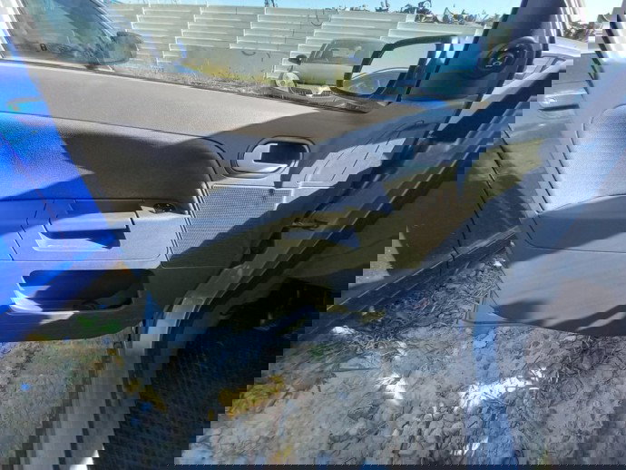 Tapiterie usa stanga fata Ford Fusion 1.6 Benz OEM 2002-2012