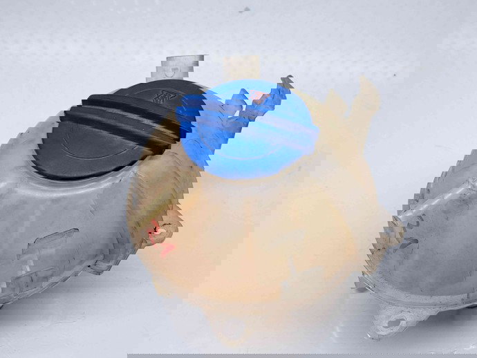 Vas expansiune Seat Leon (1P1) [Fabr 2005-2011] 1K0121407