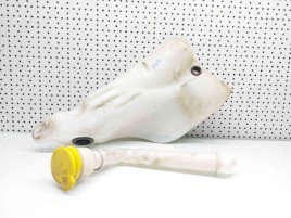 Vas lichid parbriz Renault Megane 3 Combi [Fabr 2008-2015] 289100014R