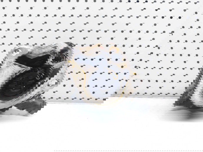 Pompa vacuum Renault Scenic 2 [Fabr 2003-2008] OEM 1.5 CDI K9K 