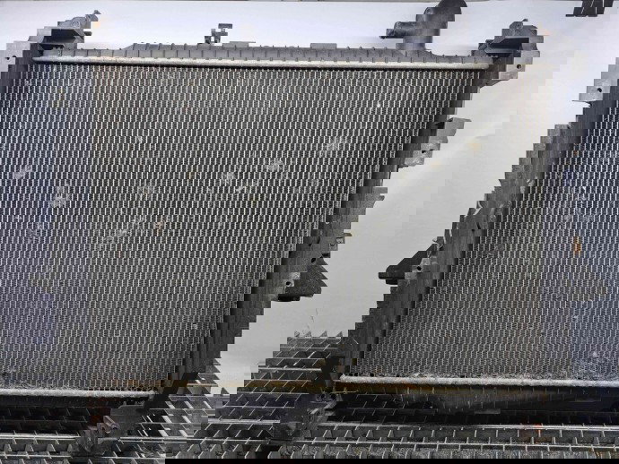 Radiator apa LAND ROVER Discovery Sport (L550) [Fabr 2014-2022] AH32 8005 BA   