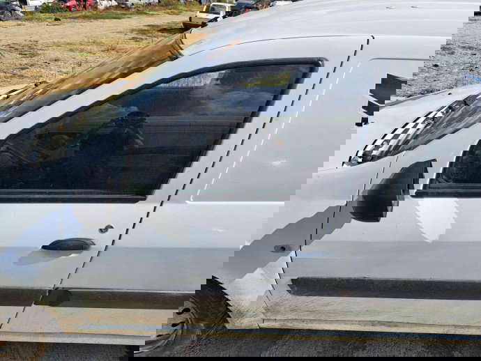 Usa stanga fata Dacia Logan (LS) [Fabr 2004-2012] ALB