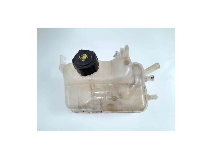 Vas expansiune, 217100005R, Dacia Duster 1.5dci