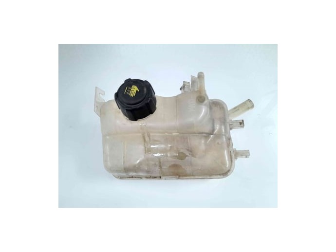 Vas expansiune, 217100005R, Renault Scenic 3, 1.5 dci