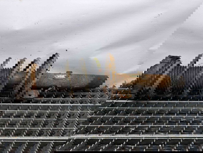 Amortizor dreapta fata Skoda Roomster (5) [Fabr 2006-2015] 6Q0413031BL 1.4 TDI BNV 1.4 TDI BNV 59KW / 80CP