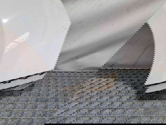 Aripa dreapta fata Ford Focus 3 Facelift [Fabr 2014-2019] Frozen White