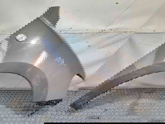 Aripa dreapta fata Hyundai Santa Fe 2 (CM) [Fabr 2005-2012] GUN METAL [2J]