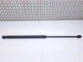 Amortizor capota Opel Astra H [Fabr 2004-2009] 244652950512