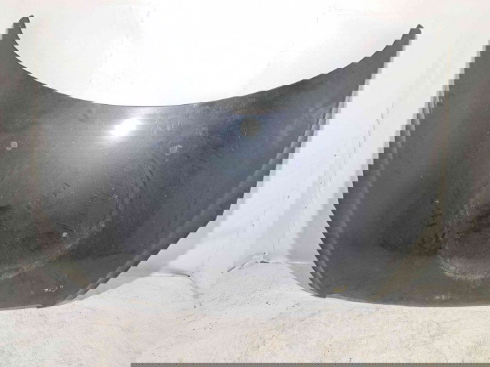 Capota Peugeot 307 [Fabr 2000-2008] EXL